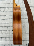 Taylor GS Mini-e Mahogany SN:2205186249