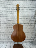 Taylor GS Mini SN:2206126111