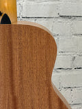 Taylor GS Mini SN:2206126111