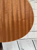 Taylor GS Mini SN:2206126111