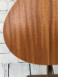 Taylor GS Mini SN:2206126113