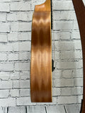 Taylor GS Mini SN:2206126113
