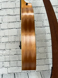 Taylor GS Mini SN:2206126113