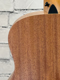 Taylor GS Mini SN:2206126112