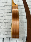 Taylor GS Mini SN:2206126112