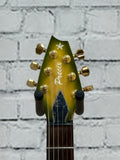 Used Campbell American Guitars Precix SN:60230