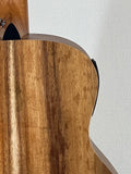 Taylor GS Mini-e Koa SN:2202133403