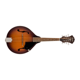 Fender PM-180E Mandolin Aged Cognac Burst