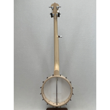 Deering Goodtime Openback Banjo