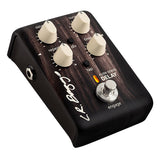 L.R. Baggs Align Series Delay