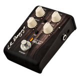 L.R. Baggs Align Series Delay