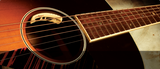 LR Baggs Anthem Acoustic Guitar Microphone & Undersaddle Pickup