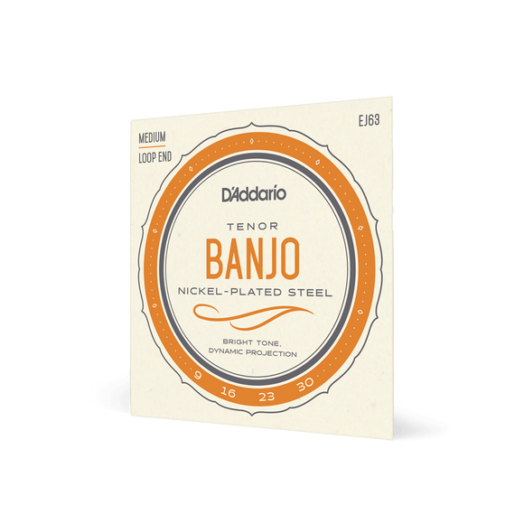D'Addario EJ63 Tenor Banjo Strings