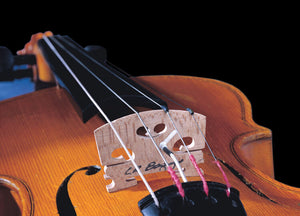 LR Baggs Violin Pickup w/ Carpenter Jack