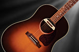 LR Baggs M80 Acoustic Guitar Pickup